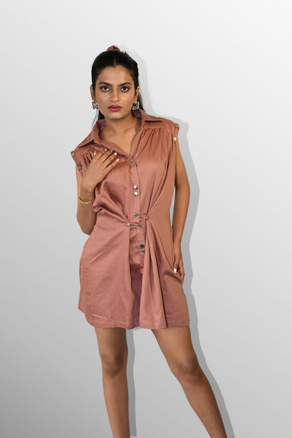 Brown Shirt dress